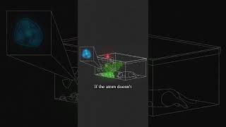 What happens to Schrödinger's cat?