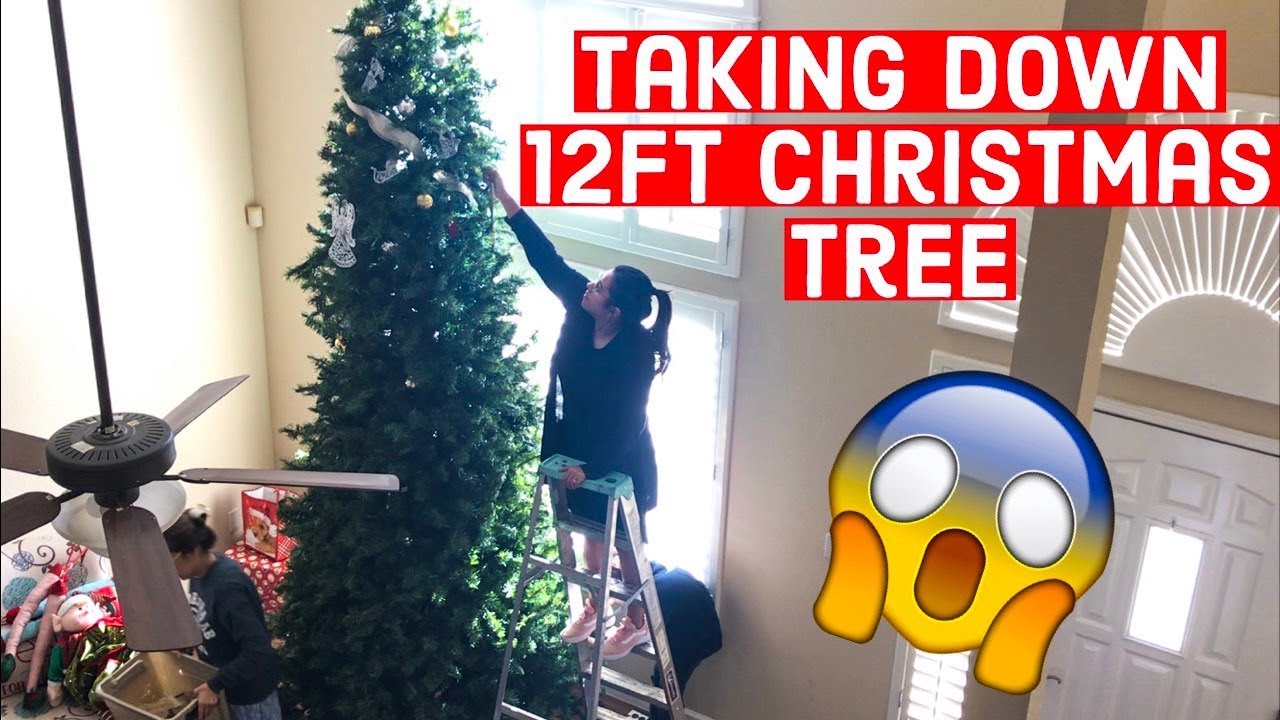 Taking down a 12 ft Christmas Tree | Time Lapse - YouTube