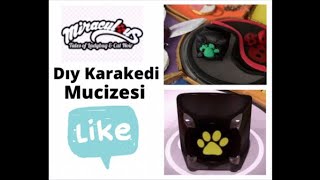 Dıy Karakedi Mucizesi Mucize Uğur Böceği ile Kara Kedi Dıy Catnoir Miraculous Miraculous Ladybug