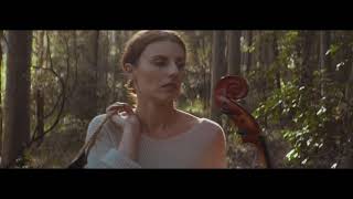 Fox Control Bumble Bee