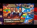 Ethiopia Djibouti Somalia Deepen Integration As Abiy Holds Key U S Diplomatic Call