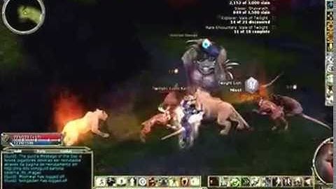 Wizard in DDO: Gameplay