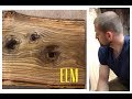 Things you should know about Elm wood!