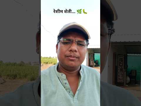 दुसऱ्या मोल्ट नंतर दुसरी फिडींग.. 🌿🐛