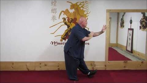 Taiji Mantis -  Lanjie