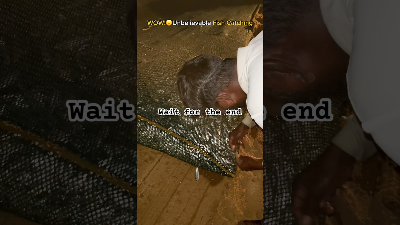 Unbelievable Catch! You Won’t Believe What Came Out of the Net! 🤯