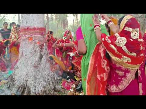 VAT Puja karte hue video neha kumari
