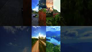 Pohong Goreng  Pos Ni Roha