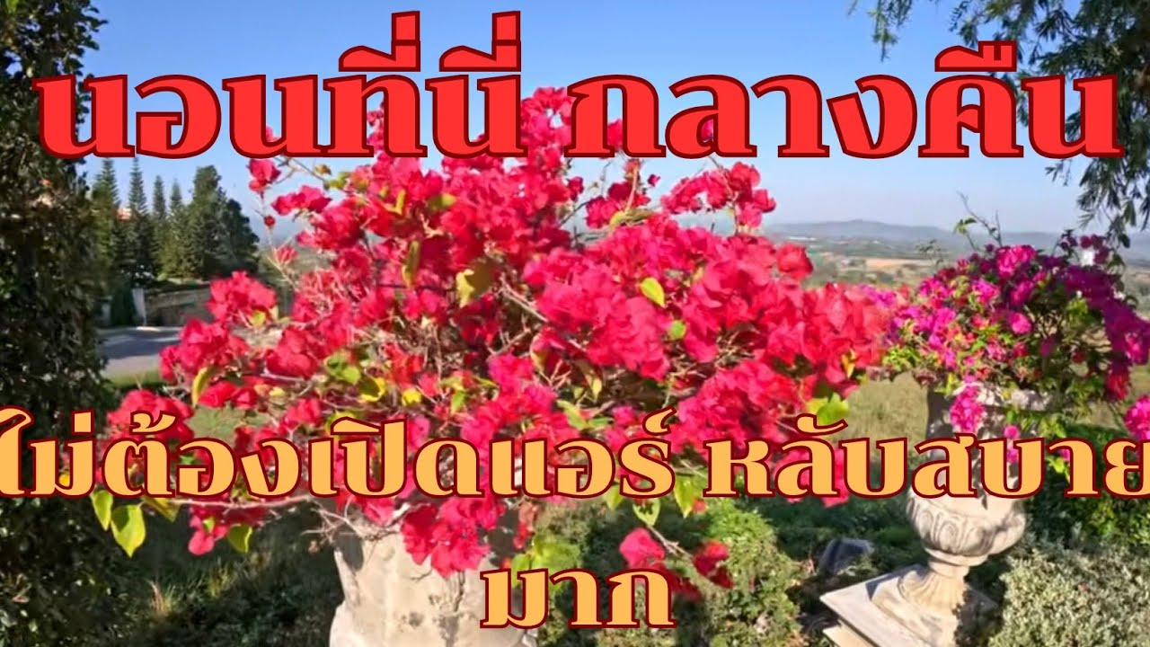 ทอสคาน่า เขาใหญ่ ย่านนี้อากาศดี๊ดี