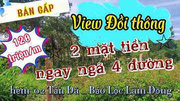 Đất 2 mặt  tiền đẹp view đồi thông tại Bảo Lộc #bdsbaoloc #baoloc #đất #datnghiduong #homstay