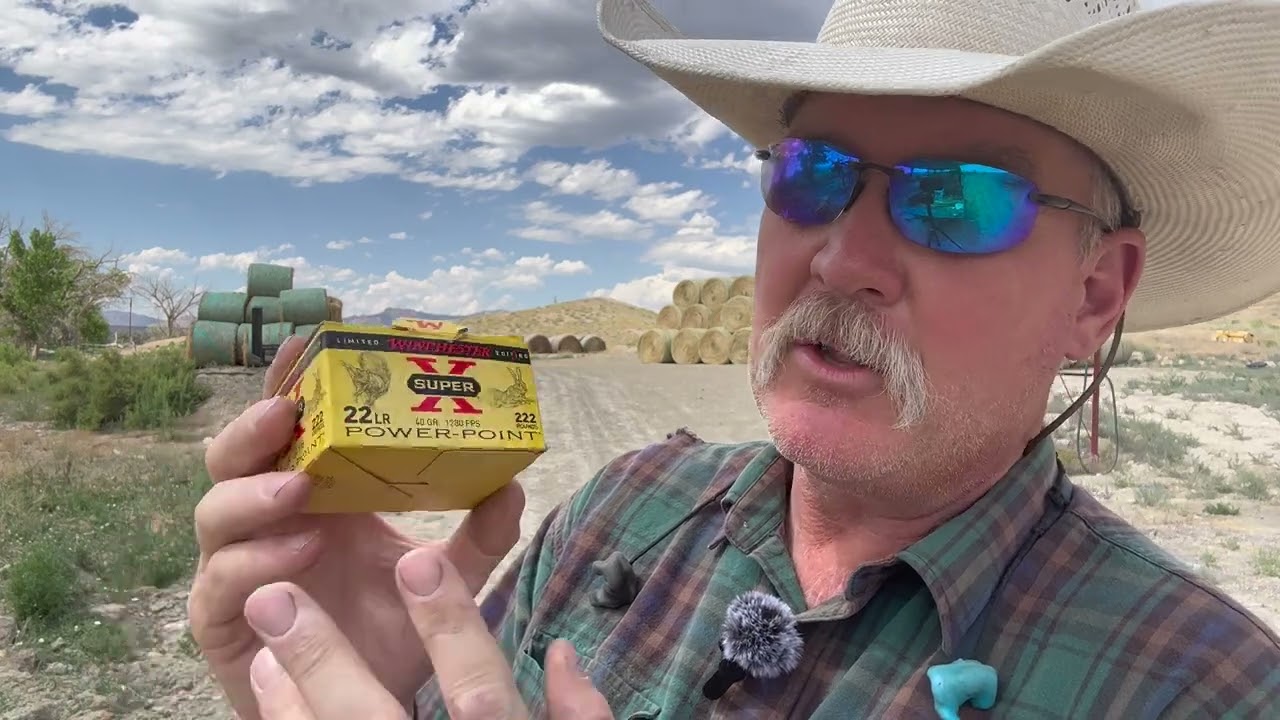 savage 62 22 LR The cheapest rifle money can buy! Is it worth it?