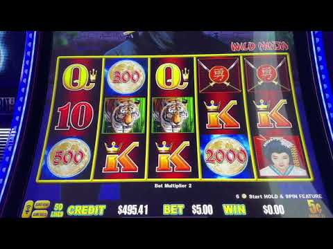 Can I Get This Super Grand Chance Or What?!