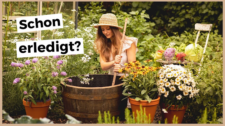 Die 16 wichtigsten Gartenaufgaben im Juli