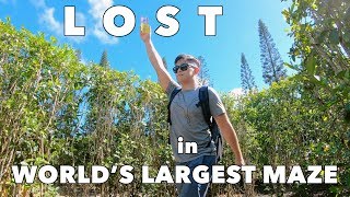 Oahu Vlog #8: Dole Plantation // WORLDS LARGEST MAZE IN 2008