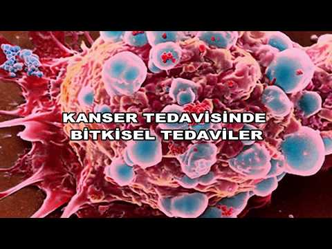 BİRAN - 7   KANSER TEDAVİSİNDE BİTKİSEL TEDAVİLER