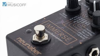 Neunaber Immerse Reverberator Video Test
