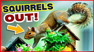 5 Proven Ways to Keep Squirrels Out of Your Garden FOREVER