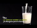 La Verdad sobre la Leche: ¿Es Riesgosa para la Salud? - TvAgro por Juan Gonzalo Angel
