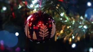 Merry Christmas from Reaseheath 2018