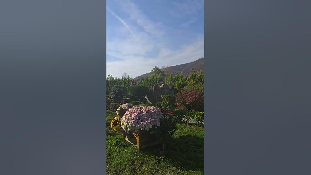 The Nohur Lake in Gabala / Озеро Нохур в Гебеле - YouTube