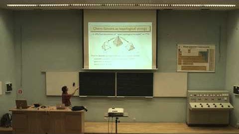 The Planck Scale II: Piotr Sulkowski (Warsaw)