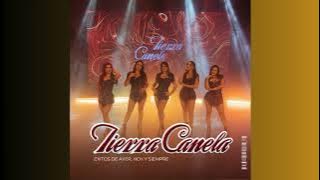 Tierra Canela mix