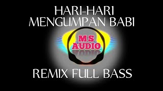 DJ REMIX HARI-HARI MENGUMPAN BABI ( Tangga Oong )| DAYAK TAMAN. By. MS AUDIO