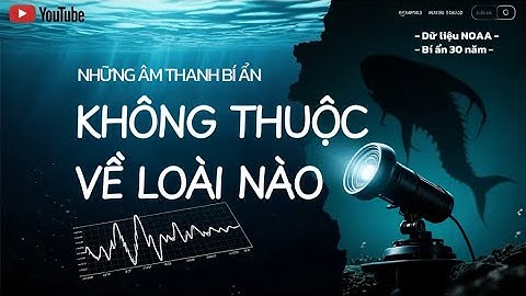 Những Âm Thanh Bí Ẩn Từ Đáy Đại Dương Khiến Khoa Học Bó Tay | Sự Thật Chưa Ai Giải Thích
