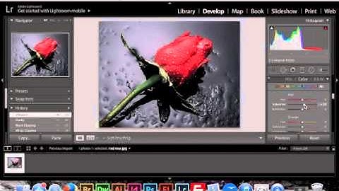Color Isolation in Lightroom
