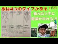 【#86】野菜の根の違いで分かる栽培方法！特性を知って上手に野菜を作る！【自然栽培】