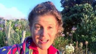 Life-long vs quick fix