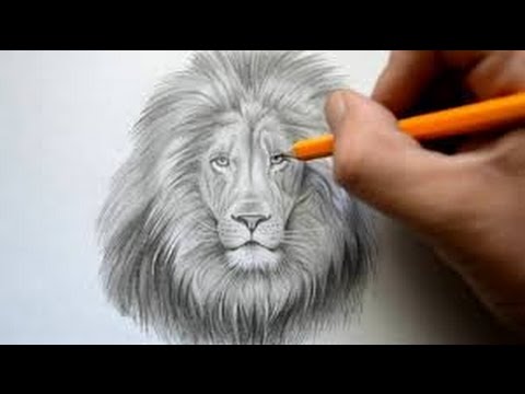 How to Draw a Lion Face Easy way Step by Step drawing for kids and 