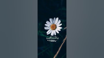الراحة النفسية 🌾تلاوة مؤثرة بصوت جميل جدا/إسلام الصبحي حالات واتس اب دينية مؤثرة