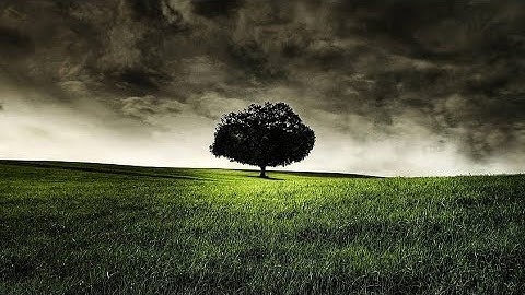 Islamic Background Music | Heart Touching Background Music Effect