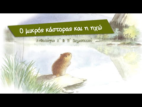 Βίντεο: Ηχώ