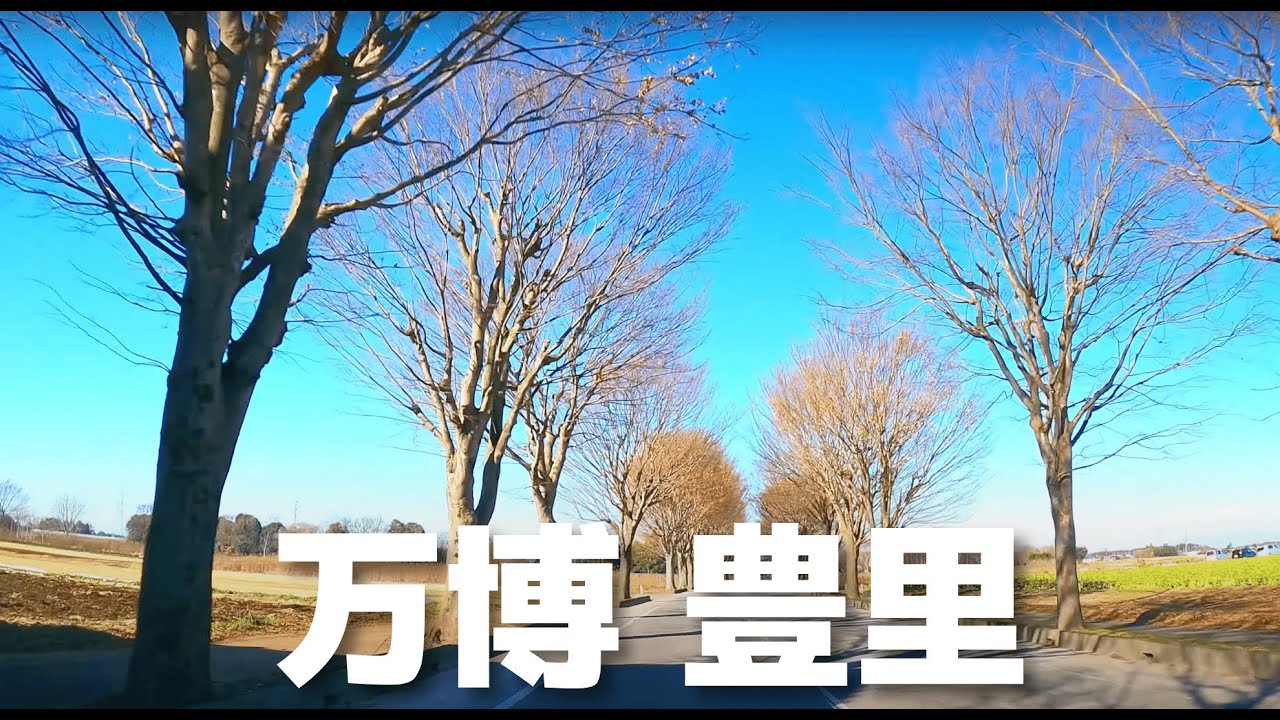【車載動画】茨城県つくば市TX万博記念公園駅~豊里 4K 2022