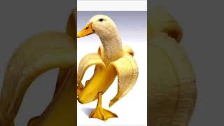 banana duck