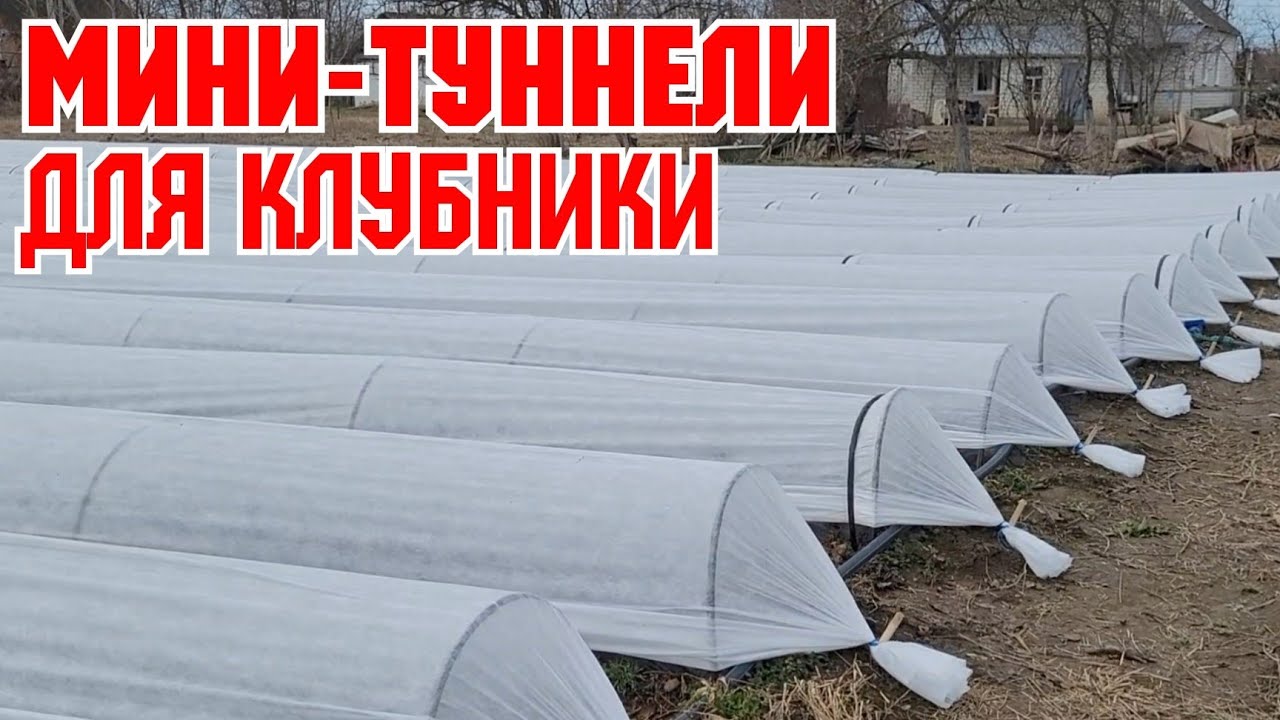 Накрываем мини-туннели Агроволокном!