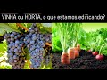 Vinha ou Horta, o que estamos edificando?