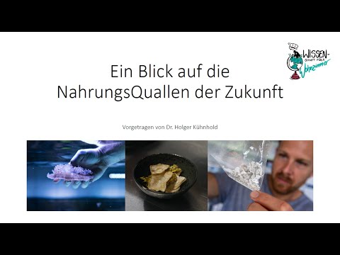 Video: Wann tauchten zum ersten Mal Nesseltiere auf?