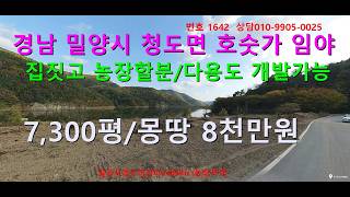 [No. 1642] Forest land for building a house and starting a farm in Cheongdo-myeon, Miryang-si, Gy...