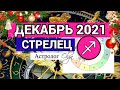 ♐ СТРЕЛЕЦ - СОЛНЕЧНОЕ ЗАТМЕНИЕ /ВЕНЕРА R. ГОРОСКОП на ДЕКАБРЬ 2021. Астролог Olga.