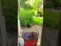 Morining tea | صبح کی چائے | صبح بخیر | صباح الخير