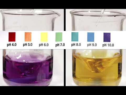 chapter 3 section 3 Acidic and Basic conditions affect living organisms