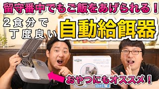 愛犬のお留守番時にあると便利！おすすめペットグッズ【お留守番フィーダー】をペットショップ店長が解説します！