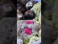 Giant Siomai