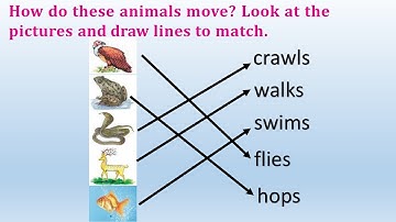 Lesson1 Introduction of animals |#cbse | #ncert  | #class2evs #CBSE #cbseclass2 #ncertevs