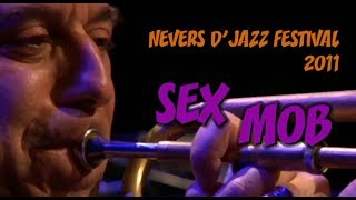 Sex Mob live at Nevers D'Jazz Festival 2011 screenshot 4