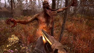 Killing the invisible mutant | Stalker 2