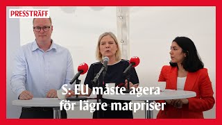 Pressträff med Magdalena Andersson, Lawen Redar och Anders Österberg